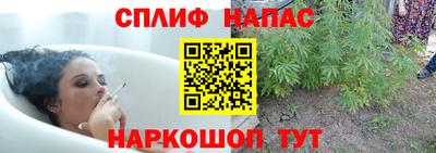 ПСИЛОЦИБИНОВЫЕ ГРИБЫ Малгобек