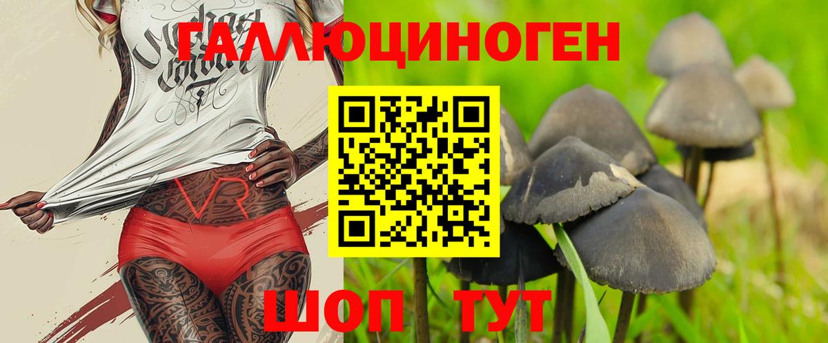 Псилоцибиновые грибы Psilocybine cubensis  Вход с VPN  Узловая 